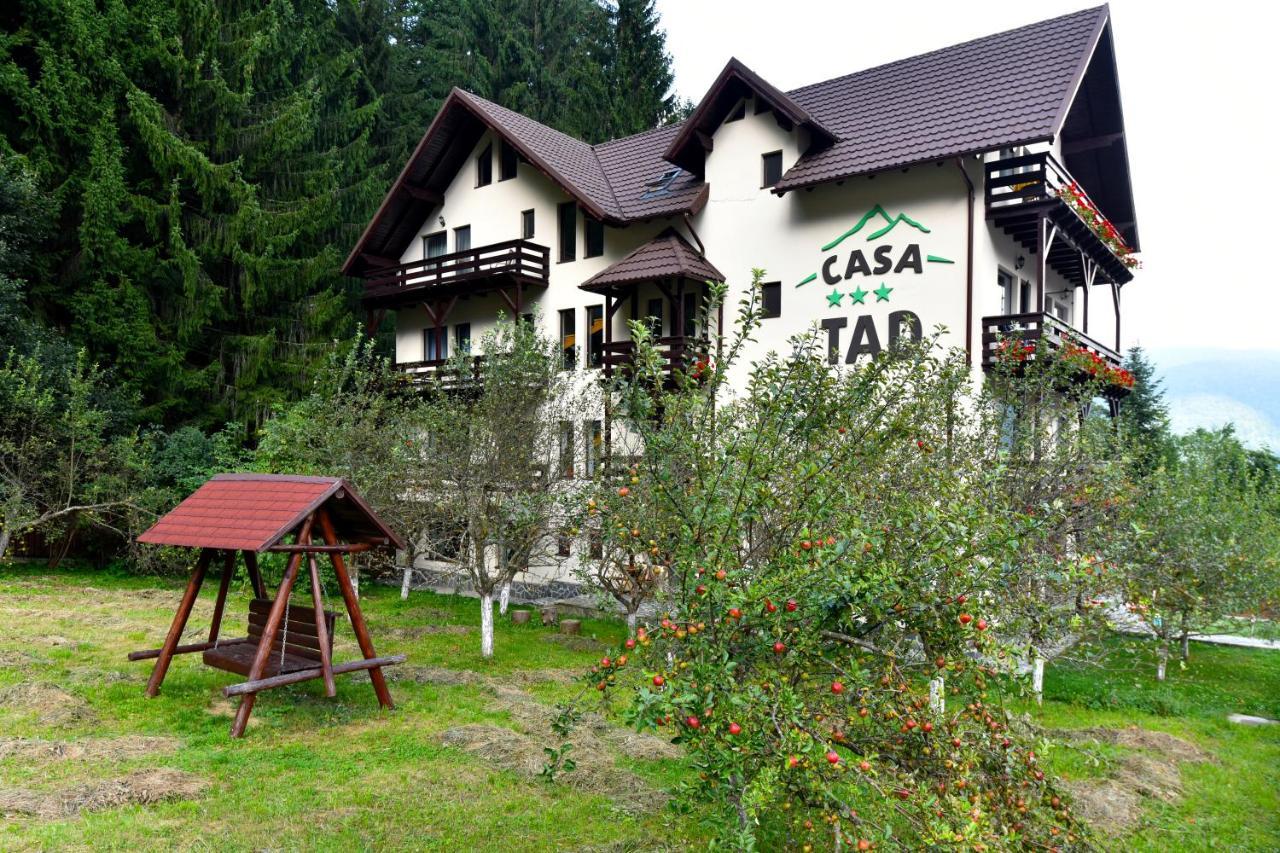 Casa Tad Buşteni Exterior foto