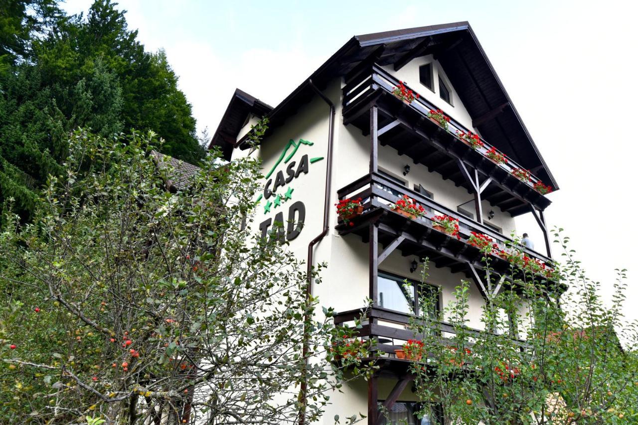 Casa Tad Buşteni Exterior foto