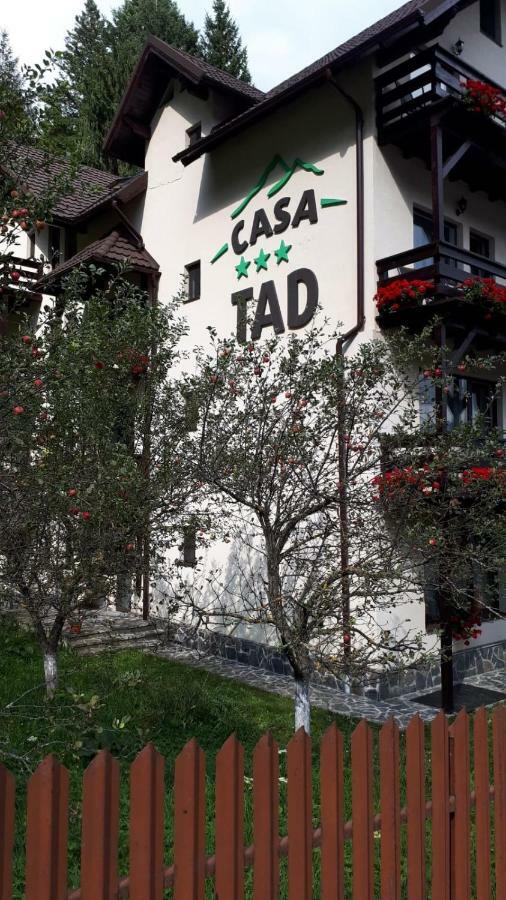 Casa Tad Buşteni Exterior foto