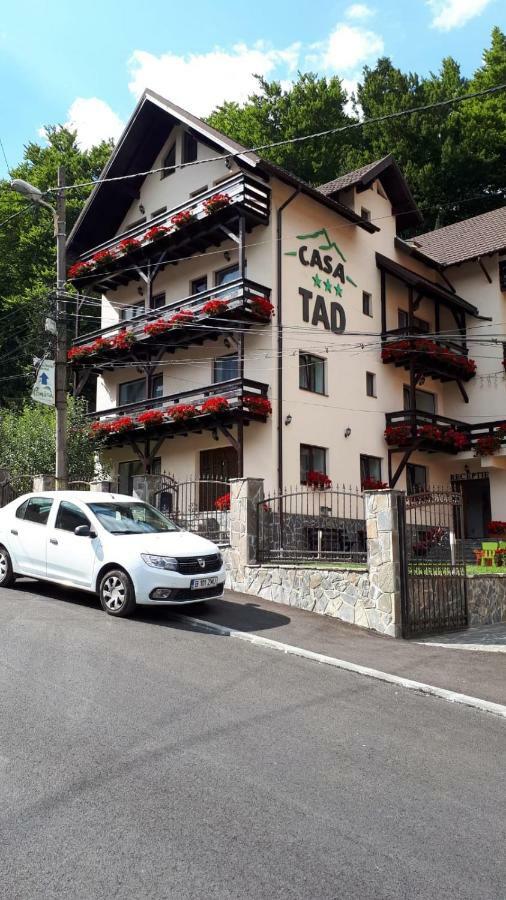Casa Tad Buşteni Exterior foto